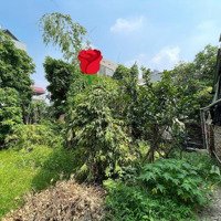 Bán Gấp Mảnh Đất Phố Xuân Đỗ Long Biên.diện Tích111Mmặt Tiền8M Giá Bán 5.8 Tỷ Lô Đất Rộng Cự Khối Còn Sót Lại -