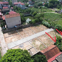 Duy Nhất 1 Lô Sổ Đỏ Thổ Cư 45M2, Không Lỗi Lầm, Ô Tô Đỗ Cửa Chỉ Hơn 800 Tr Quá Là Rẻ