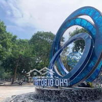Bán Biệt Thự Pháp Cổ Phố Trần Nhân Tông , Kinh Doanh Sầm Uất Nhất Hai Bà Trưngdiện Tích136M Giá Cực Tốt.