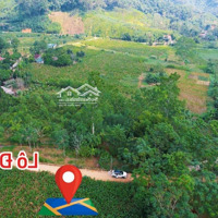 Wow Lô Đất Cách Trường Quốc Tế Maya 1Km, View Núi Ba Vì, Cam Đoan Đẹp Nhất Khu. E Trung:0903455996