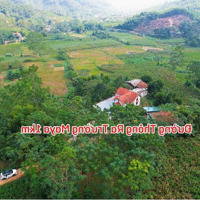 Wow Lô Đất Cách Trường Quốc Tế Maya 1Km, View Núi Ba Vì, Cam Đoan Đẹp Nhất Khu. E Trung:0903455996