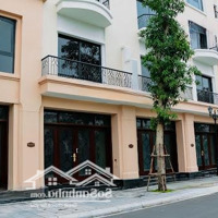 Liền Kề 5 Tầng Phân Khu Cọ Xanh Diện Tích 62,5M2 Tại Vinhomes Ocean Park 2 - Giá Cực Sốc Chỉ 8,7 Tỷ