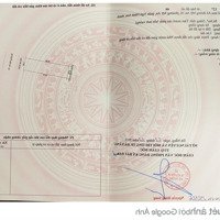 Cần Bán Đất Giá Tốt Tại Đường Mỹ An 16, Đà Nẵng, Chỉ 5,3 Tỷ Vnd