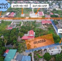 Bán Đất Giá Rẻ Tại Thôn Đại Trang, Xã Bát Trang, An Lão, Hải Phòng. Giá Chỉ Hơn 400 Triệu/Lô