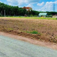 Chính Chủ Bán Sào Đất Minh Thành, Tx. Chơn Thành 1000M2, Ngay Kcn Becamex, Giá Ngộp 7Xxtr