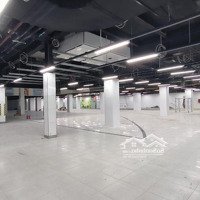 Cho Thuê Mbkd, Sàn Thương Mại 100M2, 400M2, 1000M2 Mặt Phố 229 Tây Sơn, Quận Đống Đa