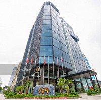 Pvi Tower Còn Trống Các Diện Tích Cho Thuê Từ 150M2 Đến 539M2