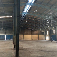 Cho Thuê Kho Xưởng 4000M2 Văn Phòng 2000M2 Tại Bình An, Bến Lức Nơi Mọi Ý Tưởng Đều Có Thể Bay Xa