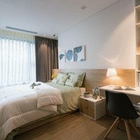 Hàng Độc Tại Cho Thuê Căn Hộ 2 Pn 10 Triệu Tại Carillon Apartment, Tân Bình