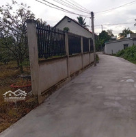 Bán Đất Ngay Bình Chánh 430M2 Tại Tân Bửu, 510 Triệu Mặt Tiền 10M, Shr