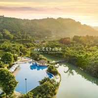 Bán Lô Đất 442 M2 Đường Bãi Dài Giáp Khu Đô Thị Xanh Villas, Giá Đầu Tư.