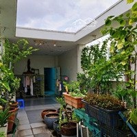 Bán Gấp Nhà Mặt Tiền Đường Phạm Văn Hai - Lê Văn Sỹ, P2, Quận Tân Bình Giá Chỉ 23 Tỷ Tl