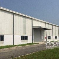 Cho Thuê Gấp Kho, Nhà Xưởng Sản Xuất Từ 1000M2 Đến 12.000M2 Tại Thanh Hóa , Xưởng Rất Đẹp