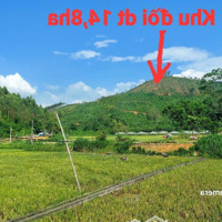 14Ha Đất Rừng Tại Nhân Đạo Sông Lô Vĩnh Phúc Bám Hồ Cần Bán Giá 1X Tỷ Liên Hệ: 0983656695