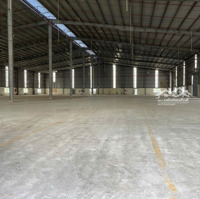 Cho Thuê 4.000M2 8.000M2 Kho Xưởng Ngoài Kcn Bàu Bàng Bình Dương