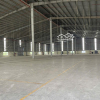 Cho Thuê 4.000M2 8.000M2 Kho Xưởng Ngoài Kcn Bàu Bàng Bình Dương