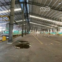 Cho Thuê Kho Xưởng 60.000M2 Huyện Bến Cát, Tỉnh Bình Dương