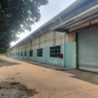 Cho Thuê Kho Xưởng 60.000M2 Huyện Bến Cát, Tỉnh Bình Dương