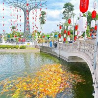 Đất Nền Dự Án Tại Danko City. Nhanh Tay Sở Hữu Lô Đất Lựa Chọn Sáng Giá Cho Tương Lai!