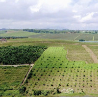Bán Đất 500M2 Tại Lộc Quảng - Bảo Lâm - Lâm Đồng Chỉ 12,58 Triệu/M2
