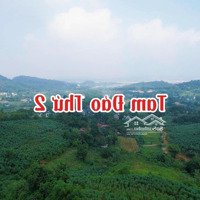 Tam Đảo Thứ 2, Xung Quanh Quần Thể Nghỉ Dưỡng, Homstay. Lô Đất Đẹp Nhất Khu. Em Trung: 0903.455.996