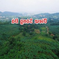 Tam Đảo Thứ 2, Xung Quanh Quần Thể Nghỉ Dưỡng, Homstay. Lô Đất Đẹp Nhất Khu. Em Trung: 0903.455.996