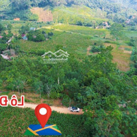 Duy Nhất 1 Lô Đẹp Nhất Khu Gần Trường Quốc Tế Maya,View Núi Ba Vì,Nghỉ Dưỡng- Homstay. Liên Hệ:0903455996