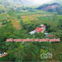 Duy Nhất 1 Lô Đẹp Nhất Khu Gần Trường Quốc Tế Maya,View Núi Ba Vì,Nghỉ Dưỡng- Homstay. Liên Hệ:0903455996