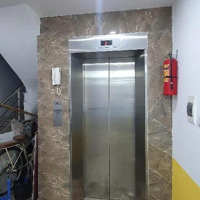 Nhà Mới, Tôi Chủ Nhà Cho Thuê, Thang Máy, Kd, Vp, Nhà Hàng 123M2 - 5T, Đào Tấn Ngay Linh Lang 43 Tr