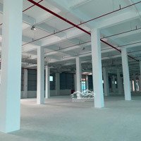 Cho Thuê Xưởng Sản Xuất 2300M2 Đầy Đủ Tiêu Chuẩn, Xây Dựng Mới 100%, Ban Giao Ngay