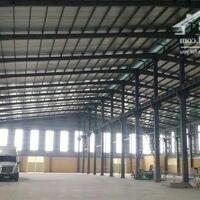 Cho Thuê 4.000m2, 8.000m2 Kho Xưởng Ngoài KCN Bàu Bàng Bình Dương