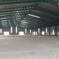 Bán Xưởng 20.000M2 Kcn Tân Phước, Tiền Giang