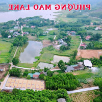 (Vip) Đất Thanh Thuỷ 135M2, Gần Khoáng Nóng Và Vườn Sen Bạch Thuỷ 70 Ha Nhất Miền Bắc Chỉ 399 Triệu