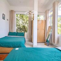 Homestay Hẻm Mai Anh Đào, Phường 8 - Cơ Hội Đầu Tư Lý Tưởng