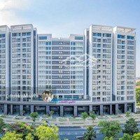 Shophouse Hưng Phúc Premier Thích Hợp Kinh Doanh Đa Ngành Nghề, Vay Không Lãi Suất, Sở Hữu Lâu Dài