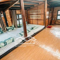 Hoi An Villa For Rent - Cho Thuê Villa Hội An Giá Tốt 5 Beds 20 Triệu