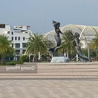 Đất Phố Nguyễn Quý Trị ,Kiêu Ki ,Cạnh Vinhom Ocean Park 1