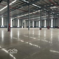 Cho Thuê Xưởng Trong Kcn Vsip 2 - Bình Dương. Cho Thuê Từ 1000M2 Đến 15.000M2