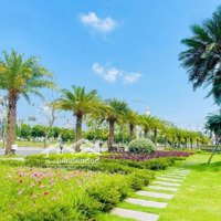 Gia Đình Có Lô Liền Kề Vị Trí Đẹp