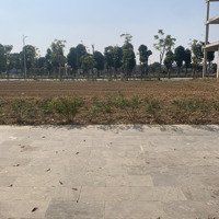 Gia Đình Có Lô Liền Kề Vị Trí Đẹp