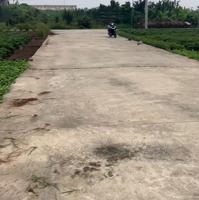 Bán Đất Đấu Giá 130.78M2 Khu Vườn Ươm, Hoà Thượng, Bạch Hạ, Phú Xuyên, Hà Nội