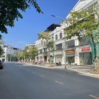 Bán Gấp Shophouse Thương Mại Hải Đăng - Vin Marina, 105X5T, Full Nt, Có Thang Máy, Giá Chỉ 10.X Tỷ