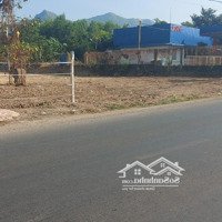 Bán 3,1 Sào Đất Đường Bà Rịa - Châu Pha