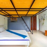 SANG NHƯỢNG HOMESTAY ĐƯỜNG  TÔ HIẾN THÀNH PHƯỜNG 3 ĐÀ LẠT, 7PN, 15TR/THÁNG, LH 0888-113-882