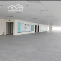 Cho Thuê Toàn Bộ 250M2 Hoặc Cắt Lẻ Theo Nhu Cầu Sàn Văn Phòng Phố Phạm Ngọc Thạch . 10 Triệu/Tháng