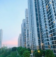 Chính Chủ Cho Thuê Căn 2 Ngủ Phân Khu Gs3 Vinhome Smart City Tây Mỗ