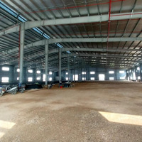 Cho Thuê Nhà Xưởng Diện Tích 3000M2, 7000M2. Khu Vực An Lão. Cách Thị Trấn 2.5Km. Vp Đầy Đủ