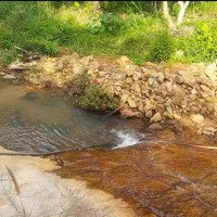 Chủ Cần Bán 5Hec Ở Tân Hà - Hàm Tân - Bình Thuận