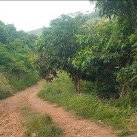 Chủ Cần Bán 5Hec Ở Tân Hà - Hàm Tân - Bình Thuận