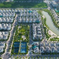 Tổng Hợp Quỹ Biệt Thự Ngọc Trai Vinhomes Ocean Park Gia Lâm Tháng 11.2024. Cam Kết Chuẩn Thông Tin